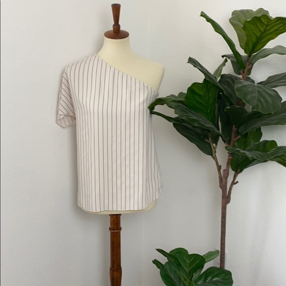 Aritzia Babaton Blouse